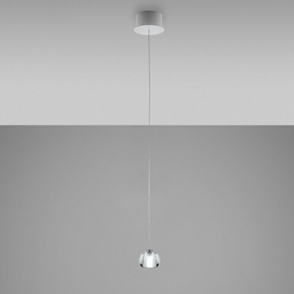 Beluga Multispot Single Pendant